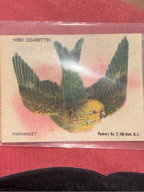 100 YEAR OLD Nebo Parrakeet cigarette silk